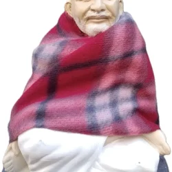 Neem Karoli Baba Idol, Baba Neem Karoli, Kainchi Dhaam Neem Karoli Baba Statue