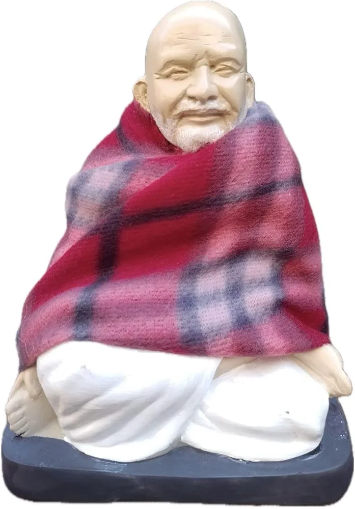 617VYluUtHL._AC_UF894,1000_QL80_FMwebp_DpWeblab_